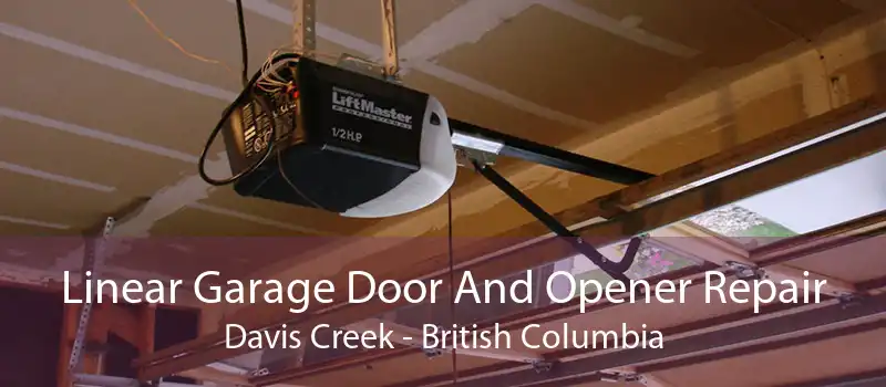 Linear Garage Door And Opener Repair Davis Creek - British Columbia