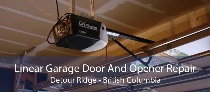 Linear Garage Door And Opener Repair Detour Ridge - British Columbia