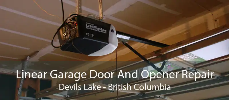 Linear Garage Door And Opener Repair Devils Lake - British Columbia