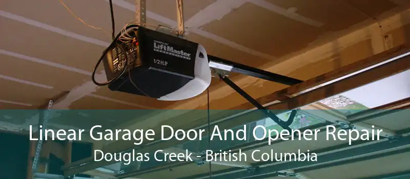 Linear Garage Door And Opener Repair Douglas Creek - British Columbia