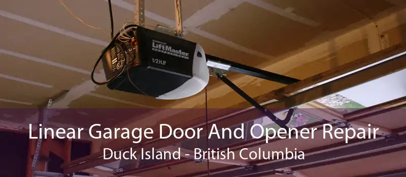 Linear Garage Door And Opener Repair Duck Island - British Columbia