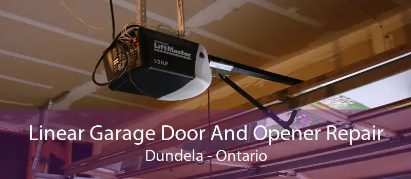 Linear Garage Door And Opener Repair Dundela - Ontario