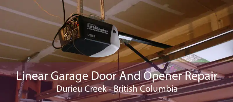 Linear Garage Door And Opener Repair Durieu Creek - British Columbia