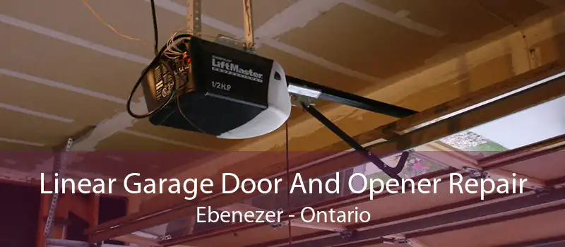 Linear Garage Door And Opener Repair Ebenezer - Ontario