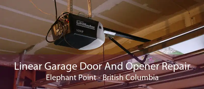 Linear Garage Door And Opener Repair Elephant Point - British Columbia