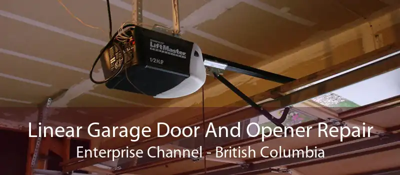 Linear Garage Door And Opener Repair Enterprise Channel - British Columbia