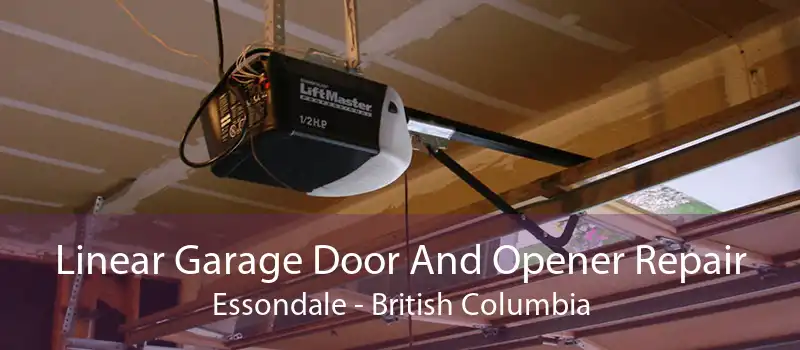 Linear Garage Door And Opener Repair Essondale - British Columbia