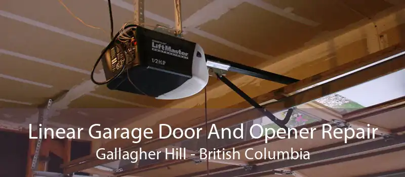 Linear Garage Door And Opener Repair Gallagher Hill - British Columbia
