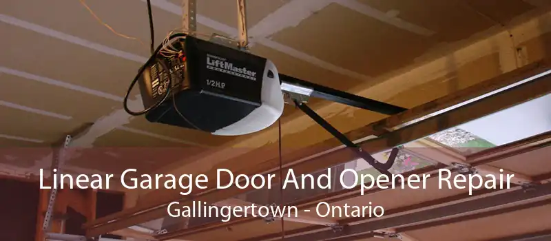 Linear Garage Door And Opener Repair Gallingertown - Ontario