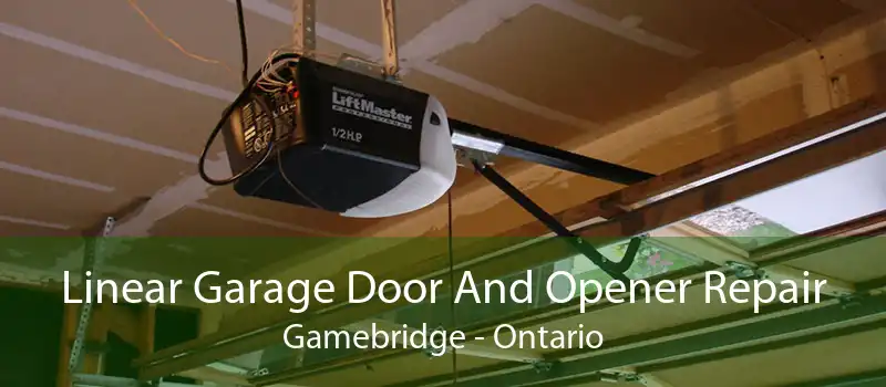 Linear Garage Door And Opener Repair Gamebridge - Ontario