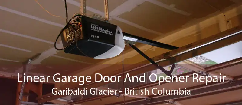 Linear Garage Door And Opener Repair Garibaldi Glacier - British Columbia