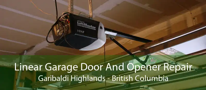 Linear Garage Door And Opener Repair Garibaldi Highlands - British Columbia