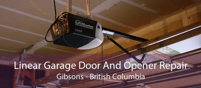 Linear Garage Door And Opener Repair Gibsons - British Columbia