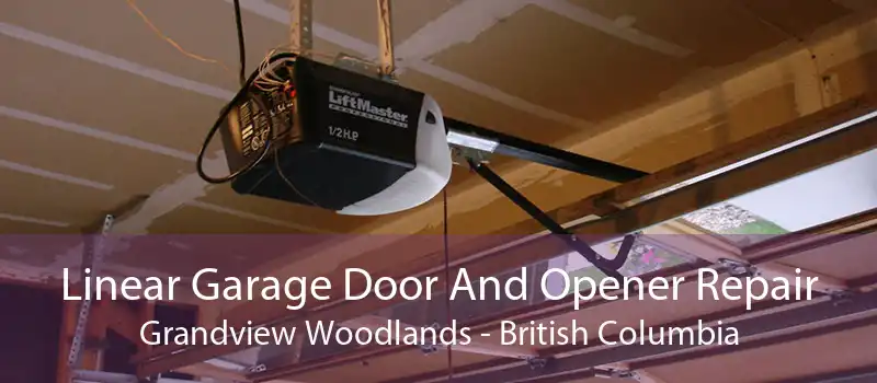 Linear Garage Door And Opener Repair Grandview Woodlands - British Columbia