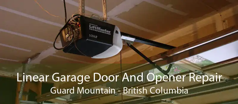 Linear Garage Door And Opener Repair Guard Mountain - British Columbia