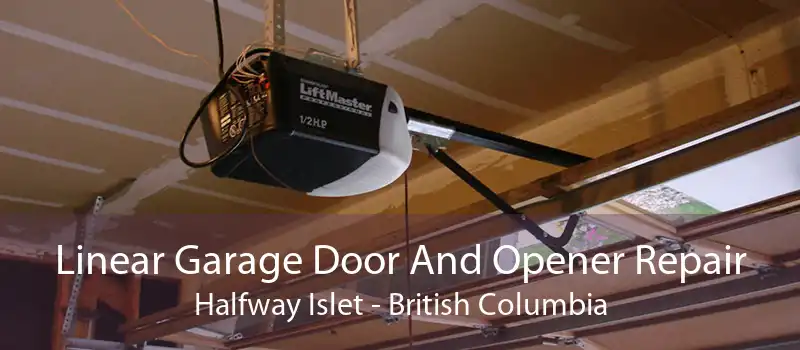 Linear Garage Door And Opener Repair Halfway Islet - British Columbia