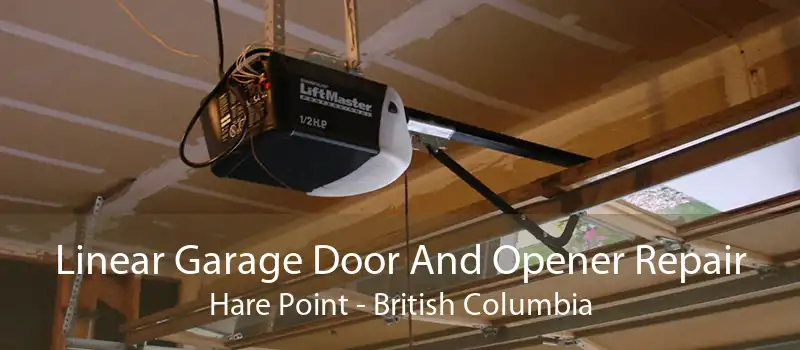 Linear Garage Door And Opener Repair Hare Point - British Columbia
