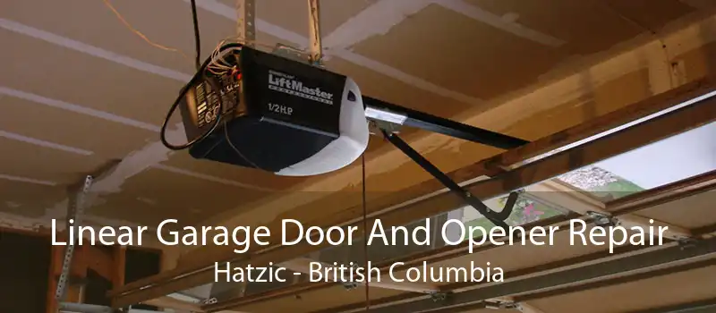 Linear Garage Door And Opener Repair Hatzic - British Columbia