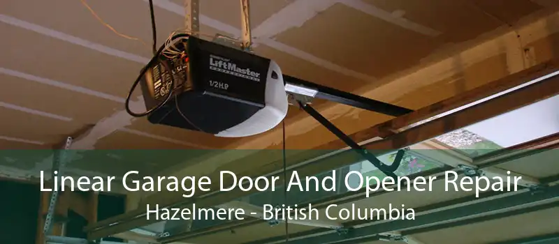 Linear Garage Door And Opener Repair Hazelmere - British Columbia