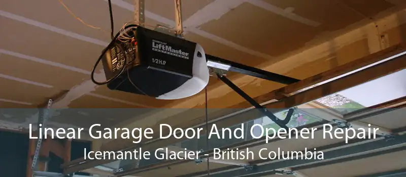 Linear Garage Door And Opener Repair Icemantle Glacier - British Columbia