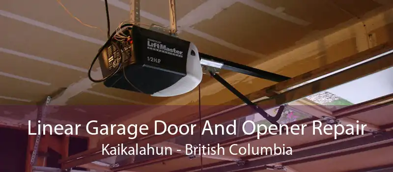 Linear Garage Door And Opener Repair Kaikalahun - British Columbia