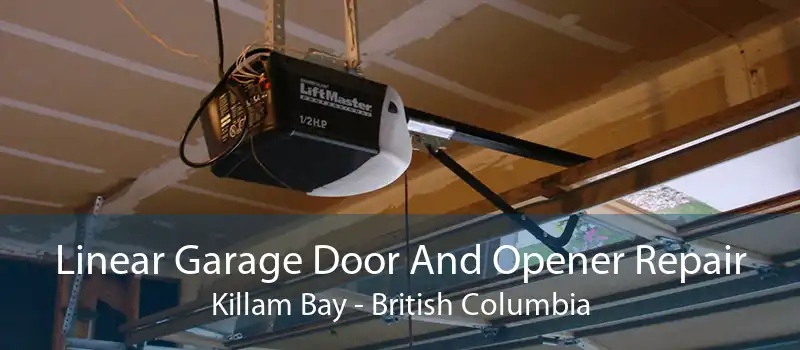 Linear Garage Door And Opener Repair Killam Bay - British Columbia