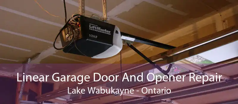 Linear Garage Door And Opener Repair Lake Wabukayne - Ontario