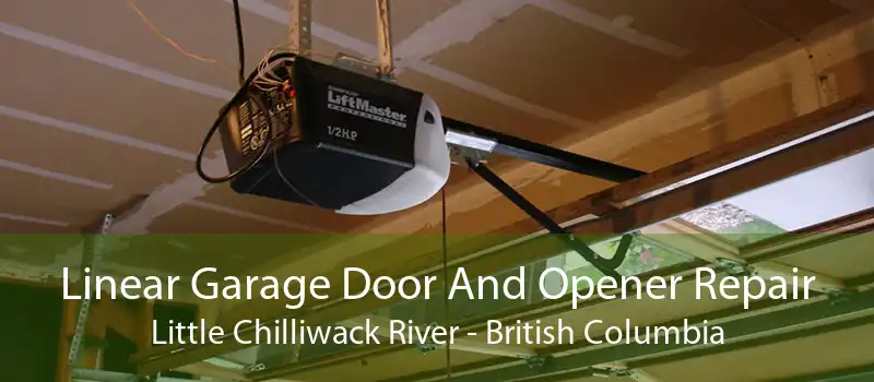 Linear Garage Door And Opener Repair Little Chilliwack River - British Columbia