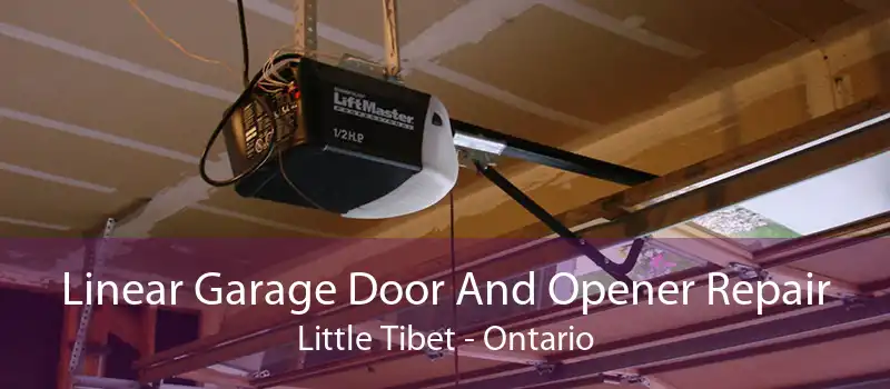 Linear Garage Door And Opener Repair Little Tibet - Ontario