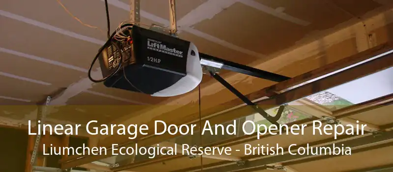 Linear Garage Door And Opener Repair Liumchen Ecological Reserve - British Columbia