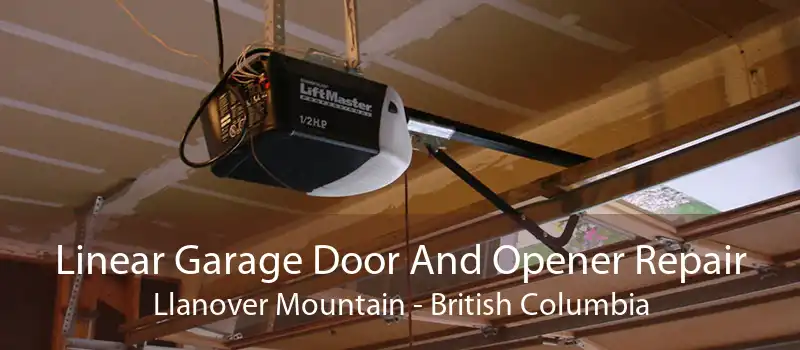 Linear Garage Door And Opener Repair Llanover Mountain - British Columbia
