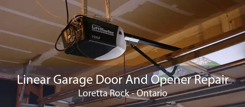 Linear Garage Door And Opener Repair Loretta Rock - Ontario