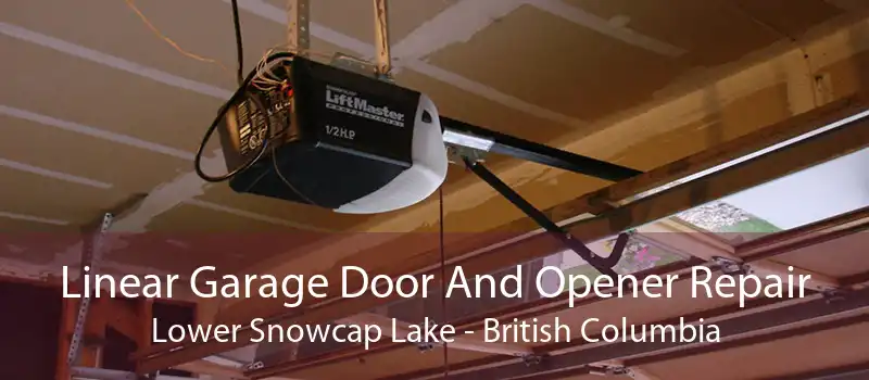 Linear Garage Door And Opener Repair Lower Snowcap Lake - British Columbia