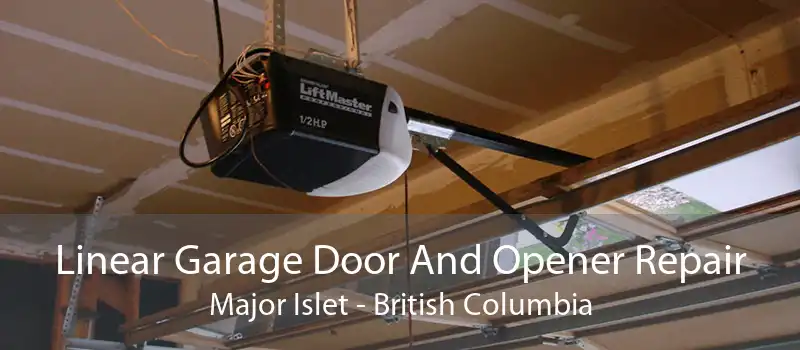 Linear Garage Door And Opener Repair Major Islet - British Columbia