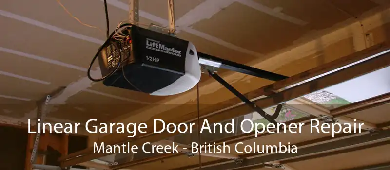 Linear Garage Door And Opener Repair Mantle Creek - British Columbia