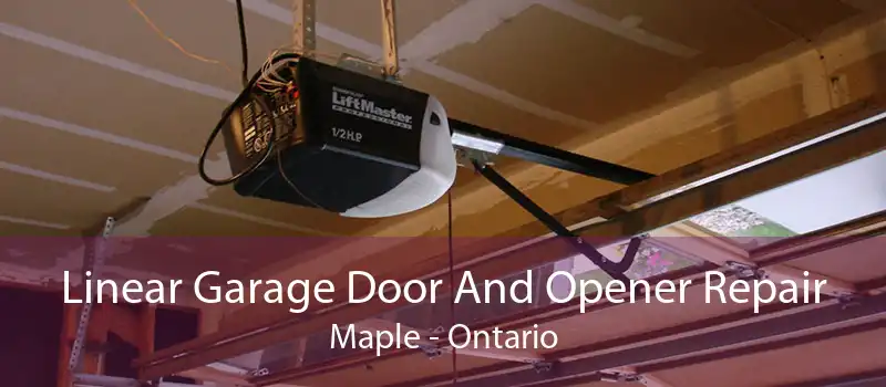 Linear Garage Door And Opener Repair Maple - Ontario