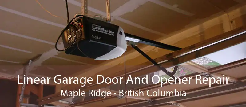 Linear Garage Door And Opener Repair Maple Ridge - British Columbia