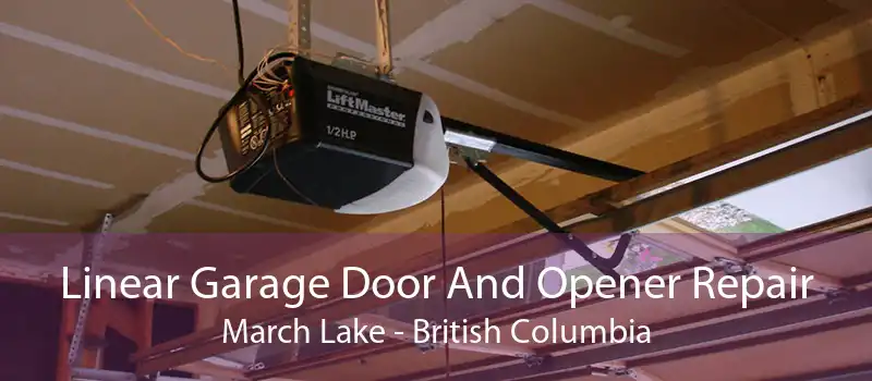 Linear Garage Door And Opener Repair March Lake - British Columbia