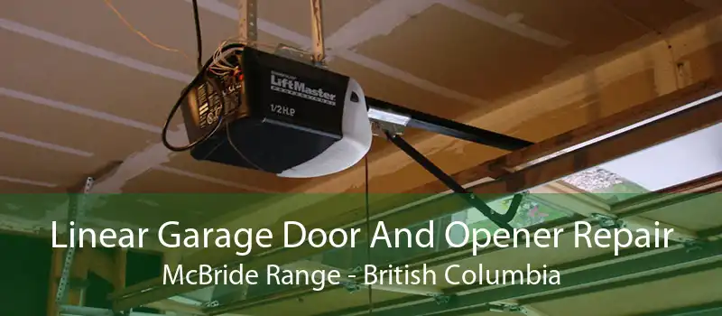 Linear Garage Door And Opener Repair McBride Range - British Columbia