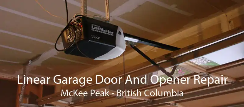 Linear Garage Door And Opener Repair McKee Peak - British Columbia