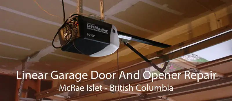 Linear Garage Door And Opener Repair McRae Islet - British Columbia