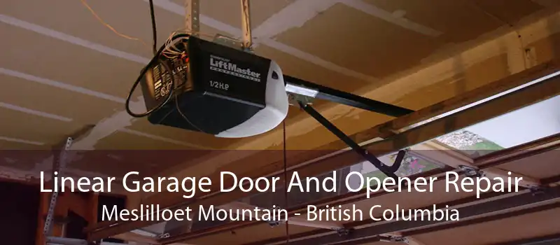 Linear Garage Door And Opener Repair Meslilloet Mountain - British Columbia