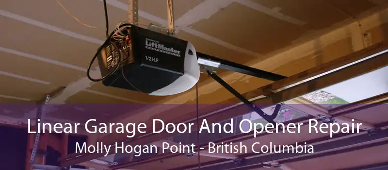 Linear Garage Door And Opener Repair Molly Hogan Point - British Columbia