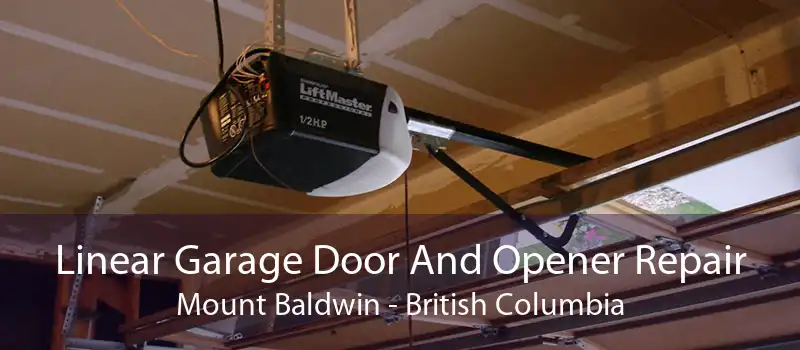 Linear Garage Door And Opener Repair Mount Baldwin - British Columbia