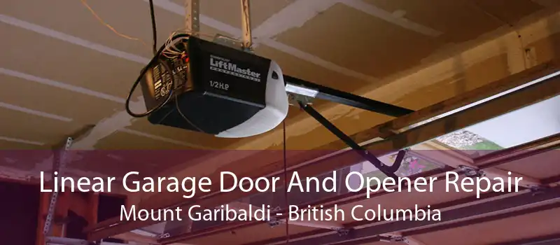 Linear Garage Door And Opener Repair Mount Garibaldi - British Columbia