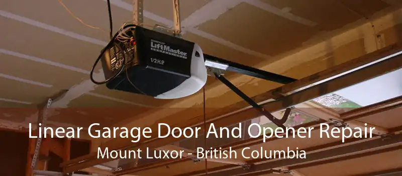 Linear Garage Door And Opener Repair Mount Luxor - British Columbia