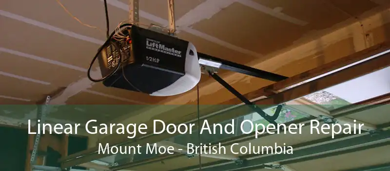 Linear Garage Door And Opener Repair Mount Moe - British Columbia