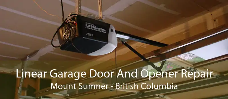 Linear Garage Door And Opener Repair Mount Sumner - British Columbia