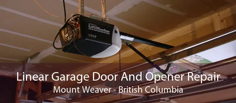 Linear Garage Door And Opener Repair Mount Weaver - British Columbia