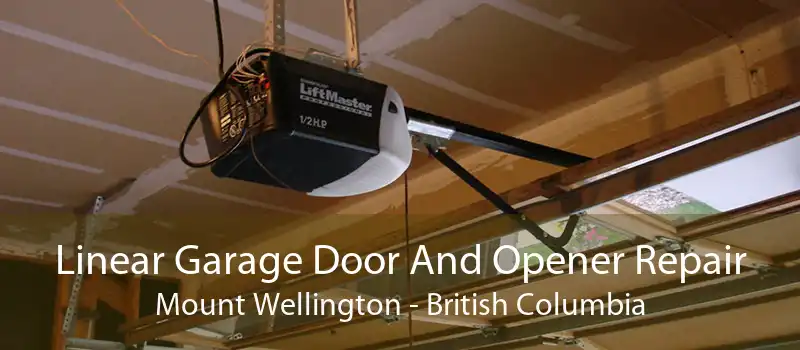Linear Garage Door And Opener Repair Mount Wellington - British Columbia